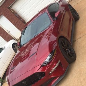 Meet your Posher, Trevor